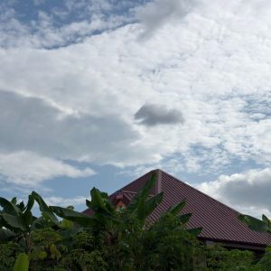 WhatsApp Image 2025-02-28 at 12.11.00 AM(1)